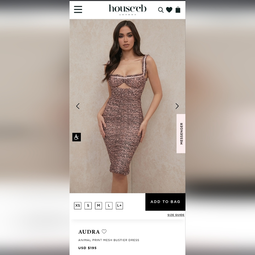 AUDRA ANIMAL PRINT MESH BUSTIER DRESS